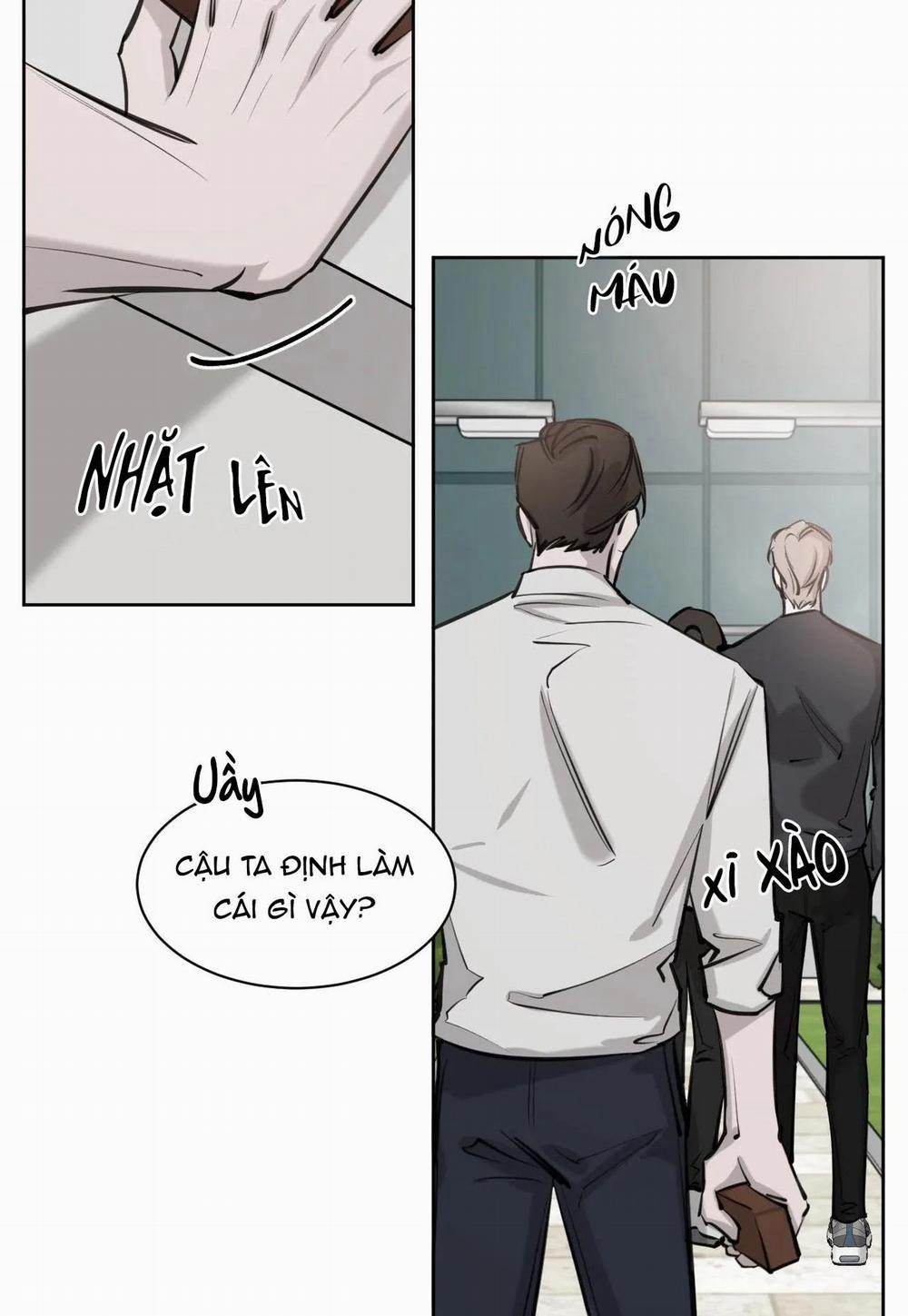 Giữa Tình Cờ Và Định Mệnh 6 trang 12