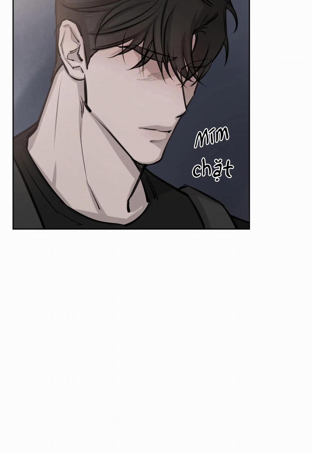 Giữa Tình Cờ Và Định Mệnh 6 trang 56