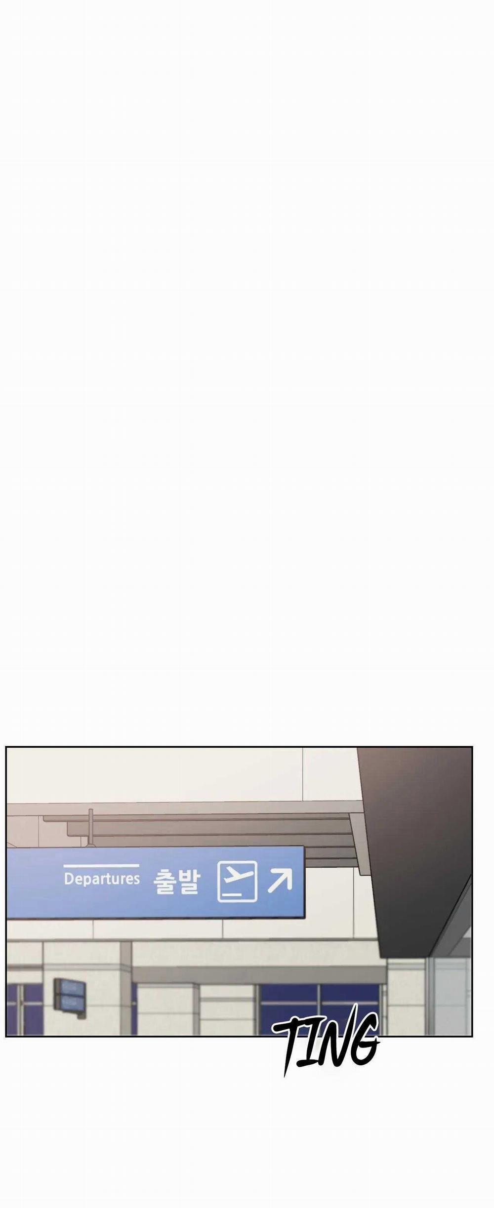 Giữa Tình Cờ Và Định Mệnh 60 trang 1