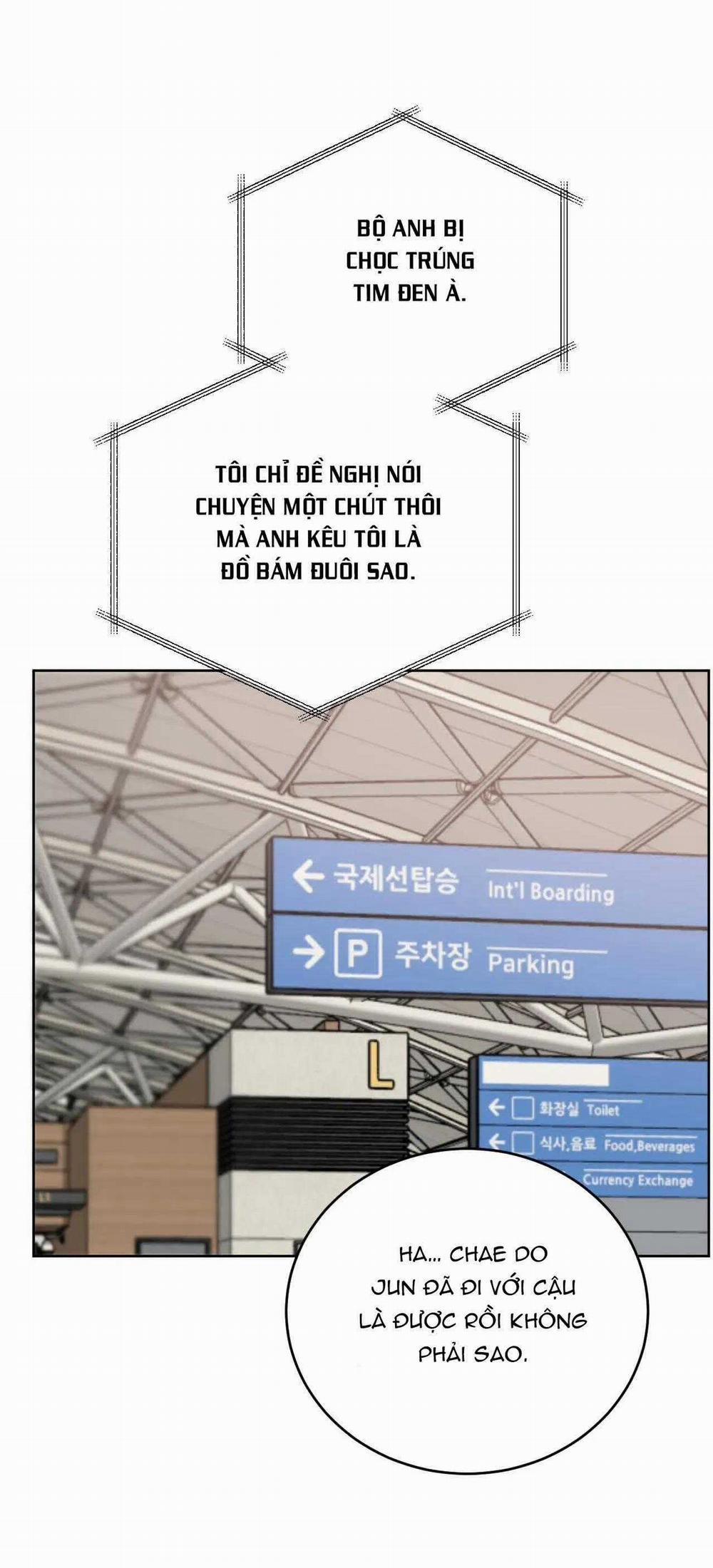 Giữa Tình Cờ Và Định Mệnh 60 trang 7