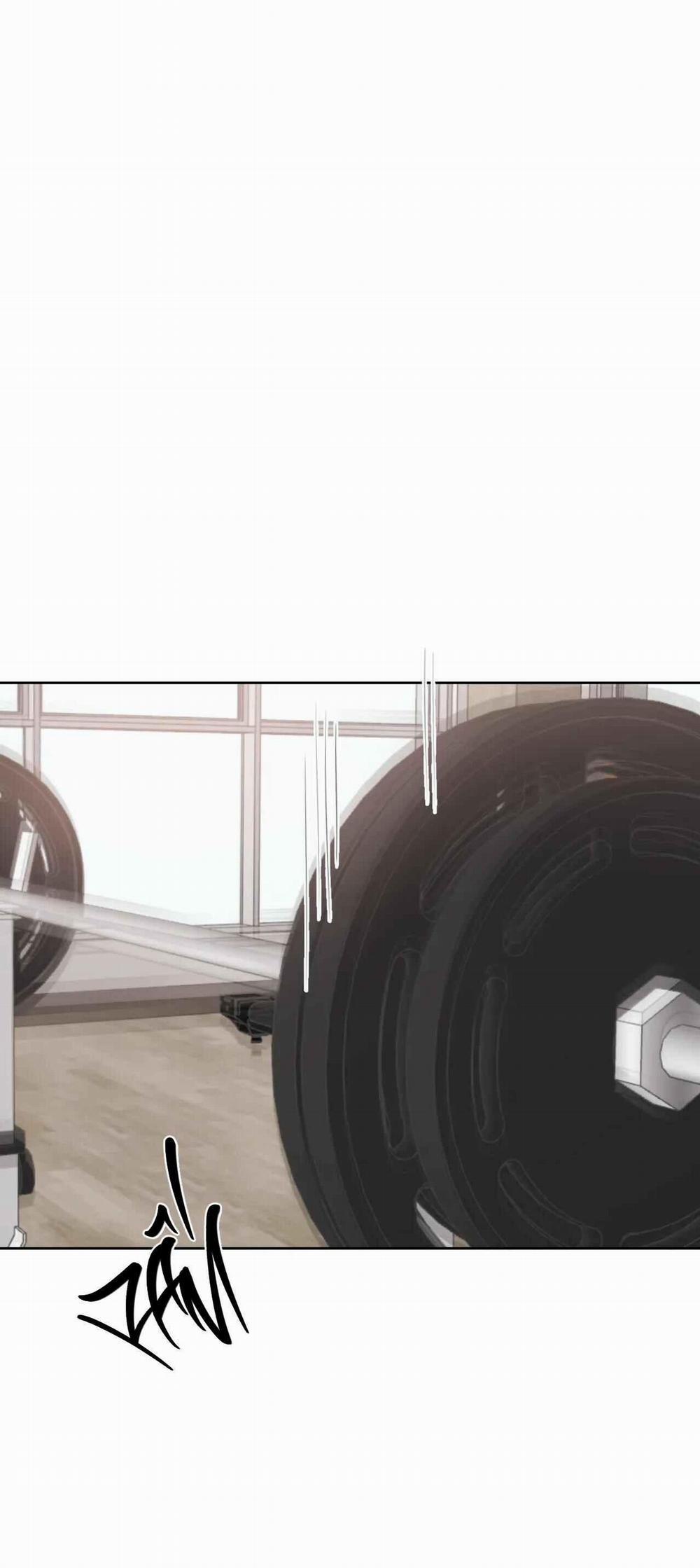 Giữa Tình Cờ Và Định Mệnh 65 trang 0