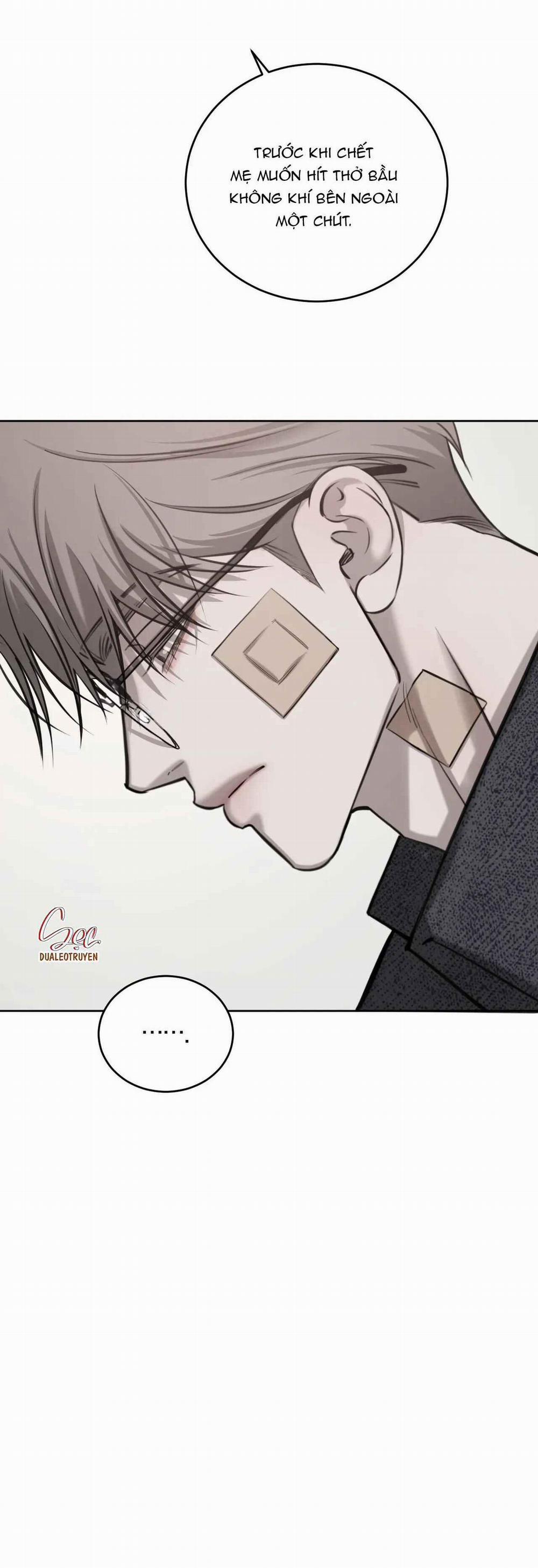 Giữa Tình Cờ Và Định Mệnh 65 trang 12