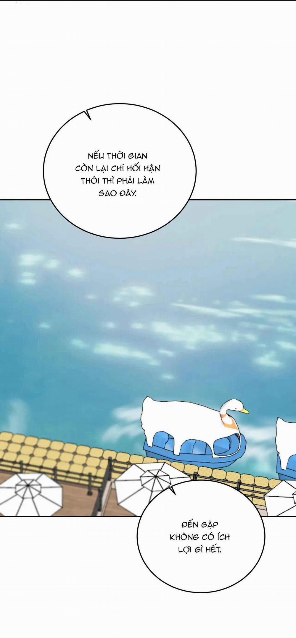 Giữa Tình Cờ Và Định Mệnh 65 trang 25