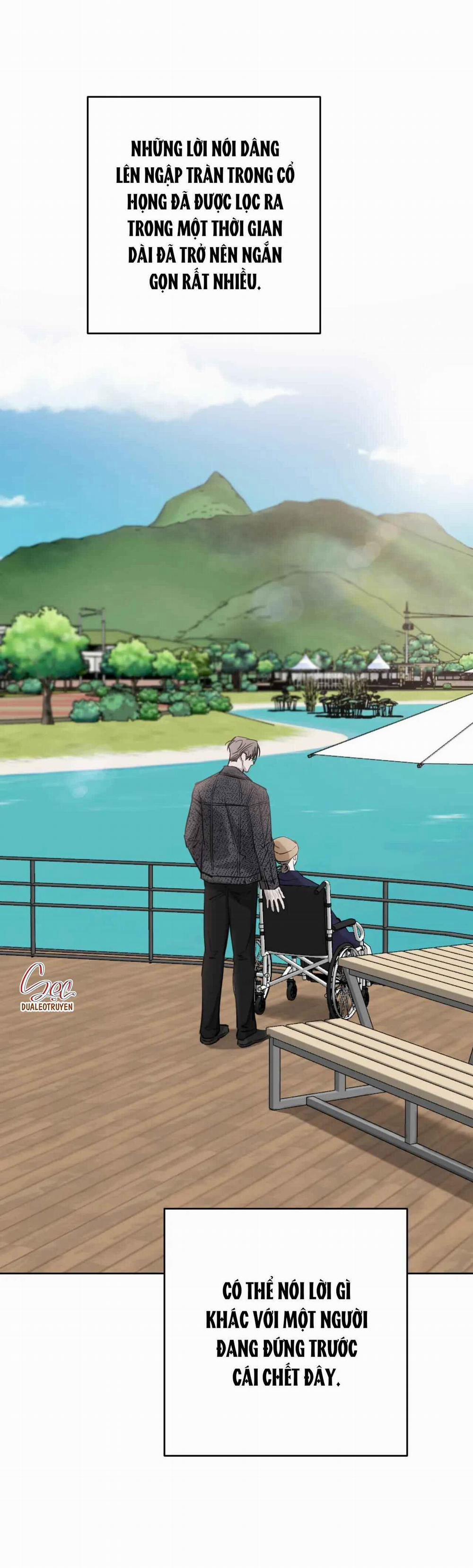 Giữa Tình Cờ Và Định Mệnh 65 trang 47