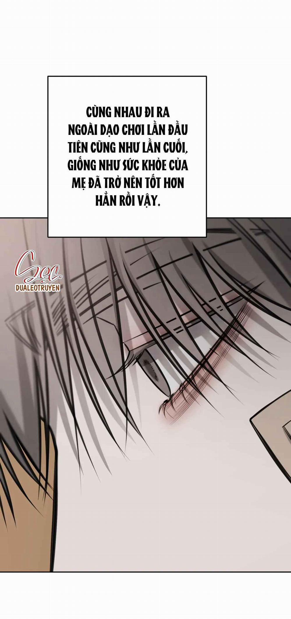 Giữa Tình Cờ Và Định Mệnh 66 trang 14