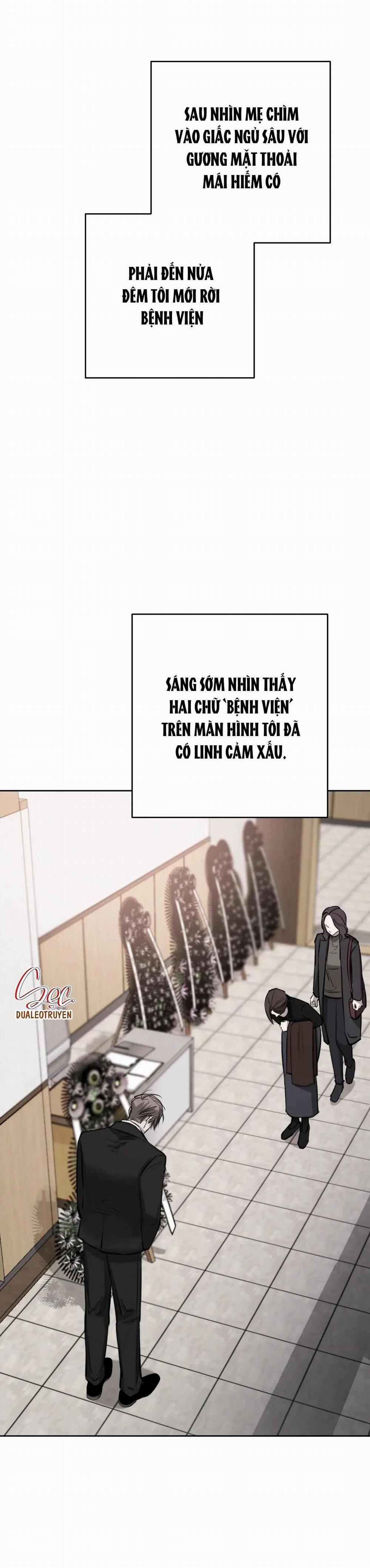 Giữa Tình Cờ Và Định Mệnh 66 trang 15