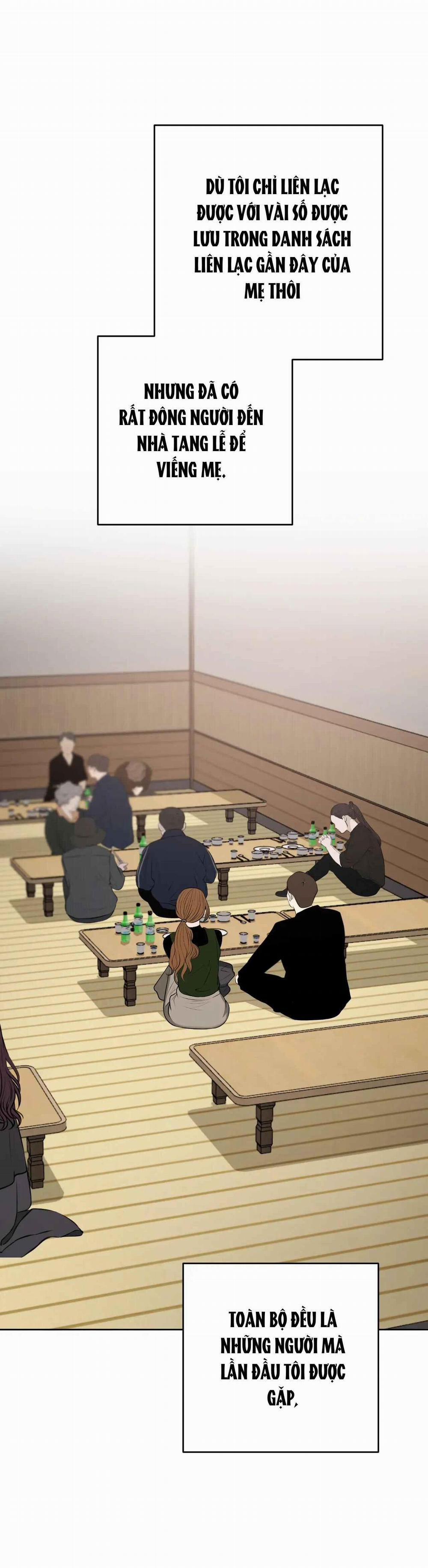 Giữa Tình Cờ Và Định Mệnh 66 trang 20