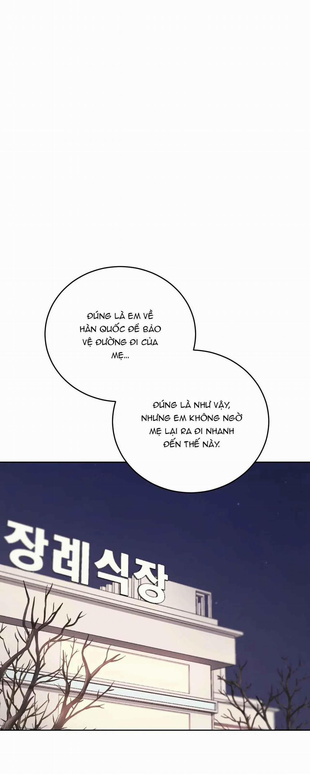 Giữa Tình Cờ Và Định Mệnh 67 trang 0