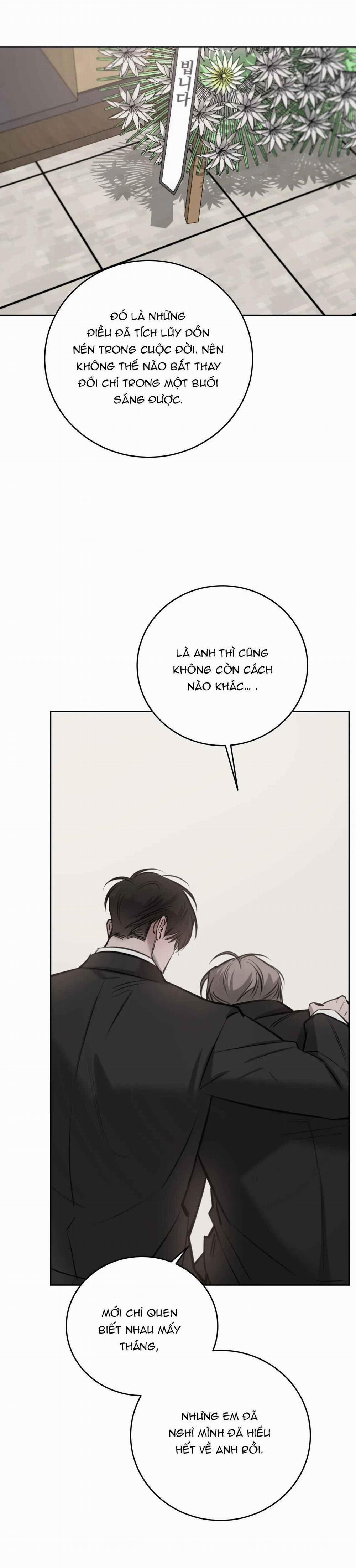 Giữa Tình Cờ Và Định Mệnh 67 trang 17