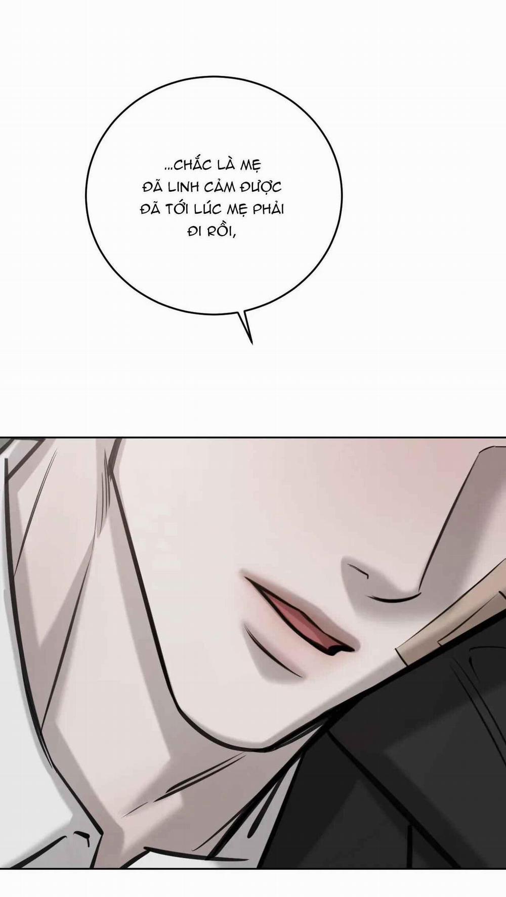 Giữa Tình Cờ Và Định Mệnh 67 trang 6