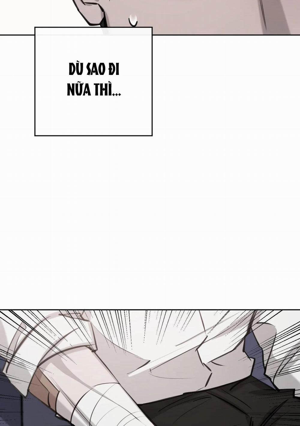 Giữa Tình Cờ Và Định Mệnh 7 trang 18