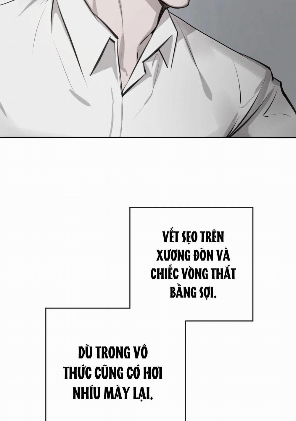 Giữa Tình Cờ Và Định Mệnh 7 trang 60