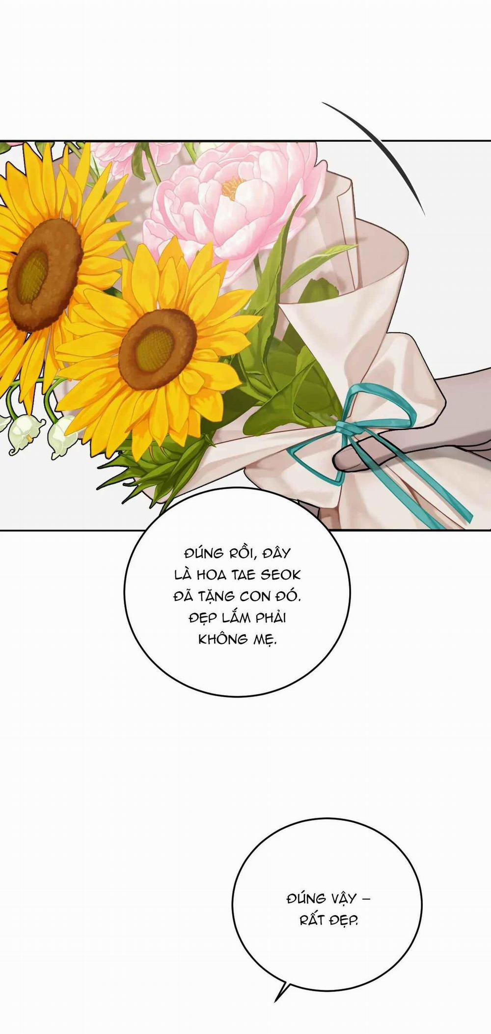 Giữa Tình Cờ Và Định Mệnh 70 trang 50