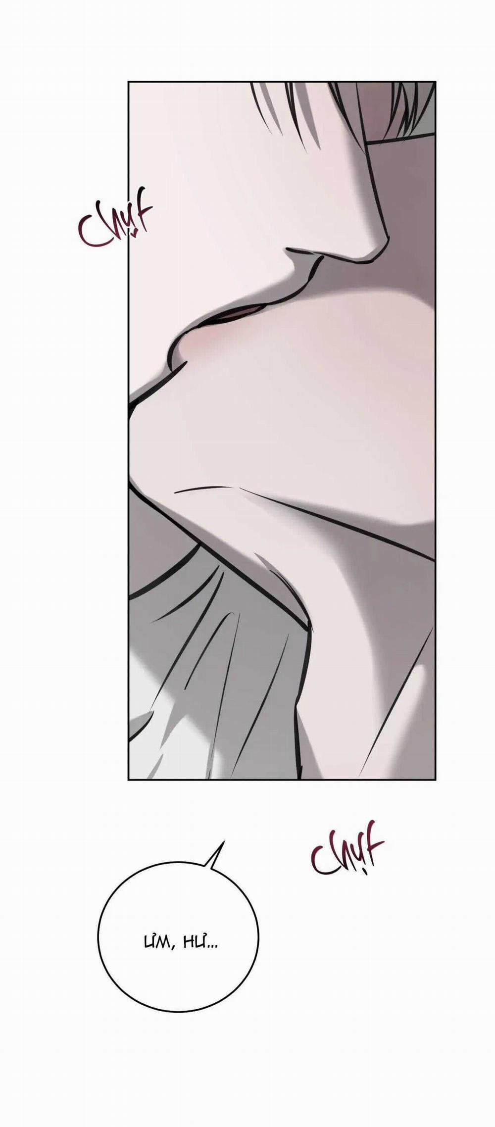 Giữa Tình Cờ Và Định Mệnh 73 trang 28