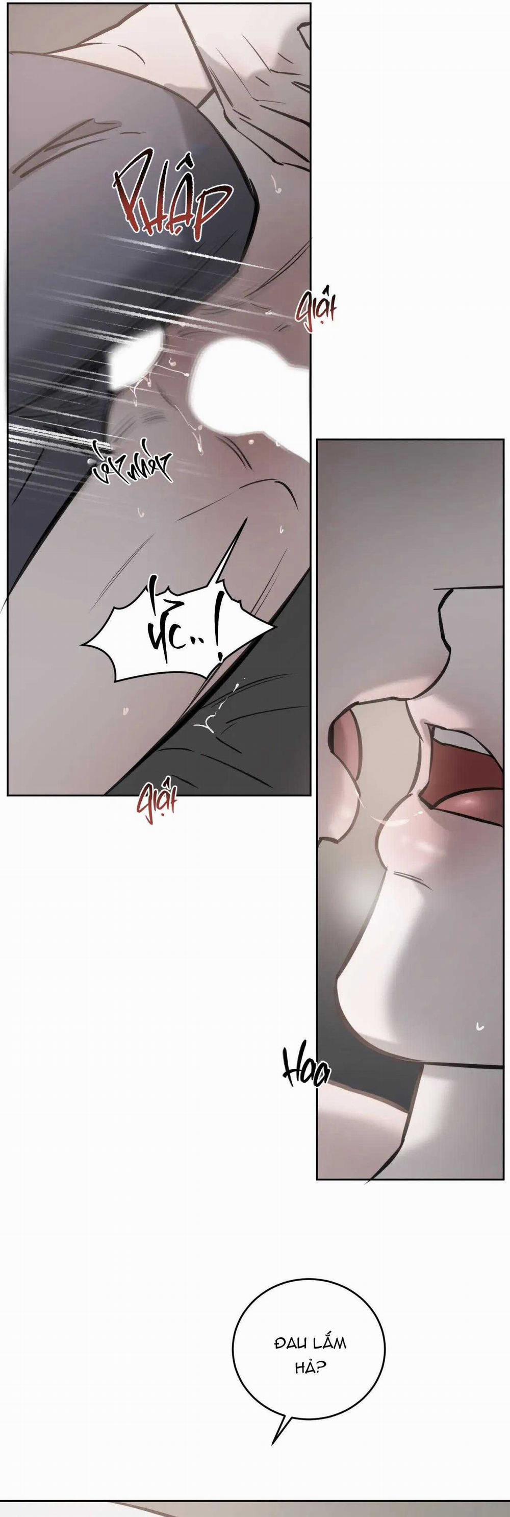 Giữa Tình Cờ Và Định Mệnh 74 trang 14