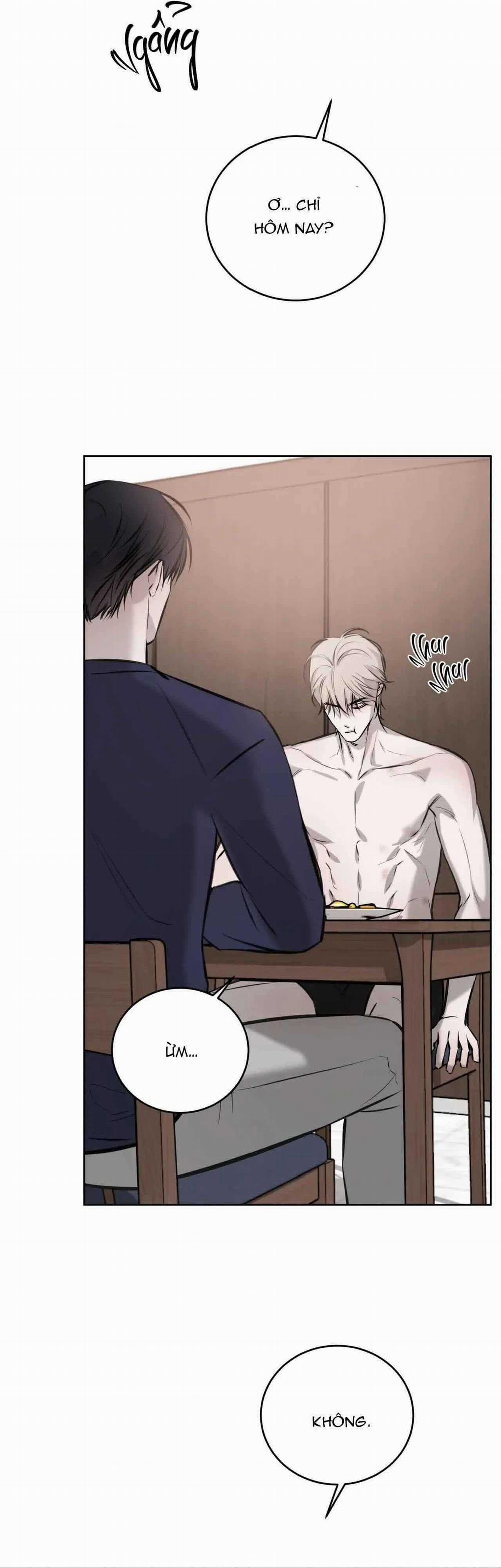 Giữa Tình Cờ Và Định Mệnh 75 trang 14