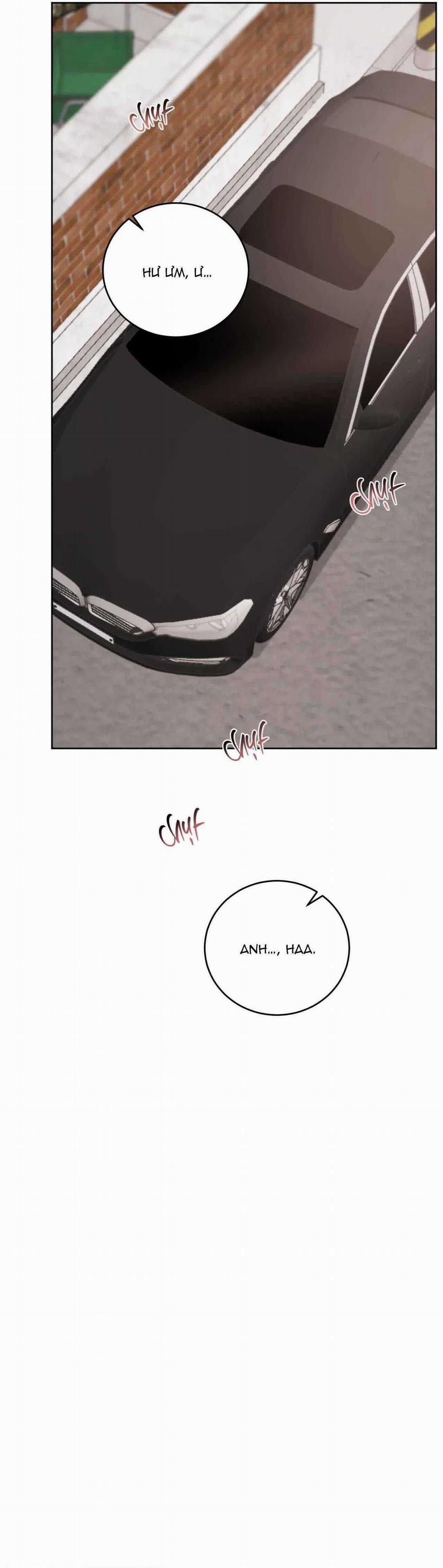 Giữa Tình Cờ Và Định Mệnh 75 trang 38