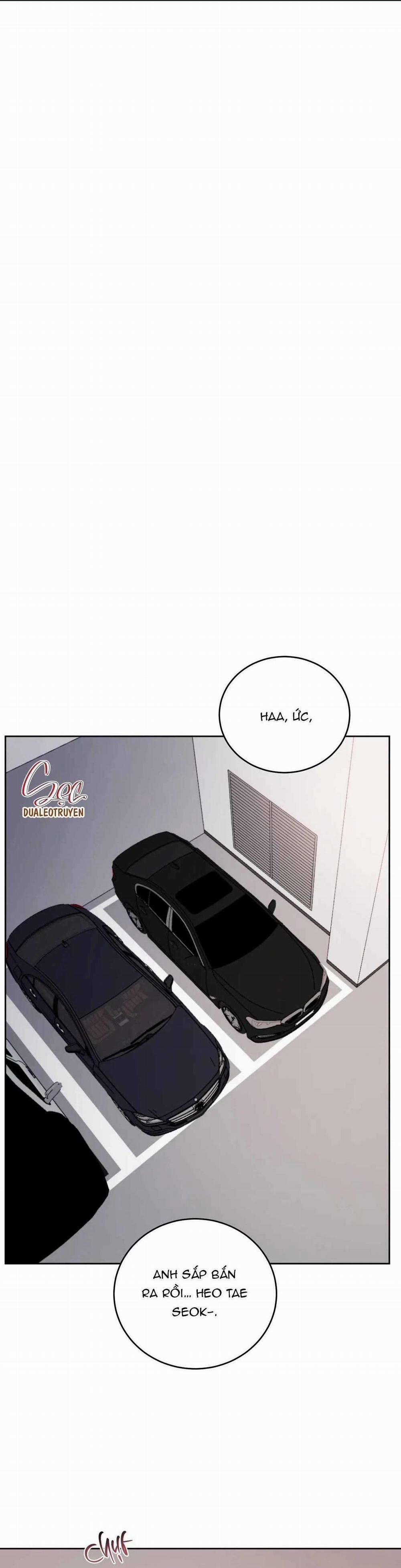 Giữa Tình Cờ Và Định Mệnh 76 trang 0