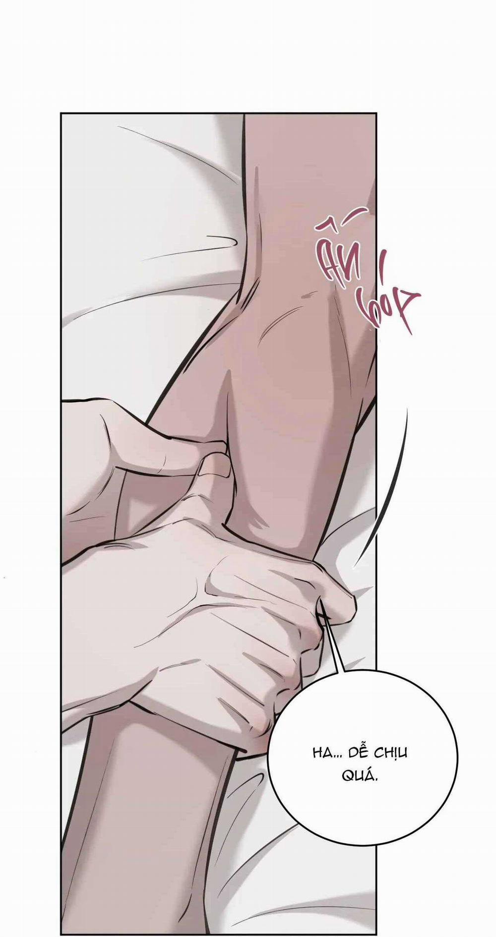 Giữa Tình Cờ Và Định Mệnh 77 trang 26