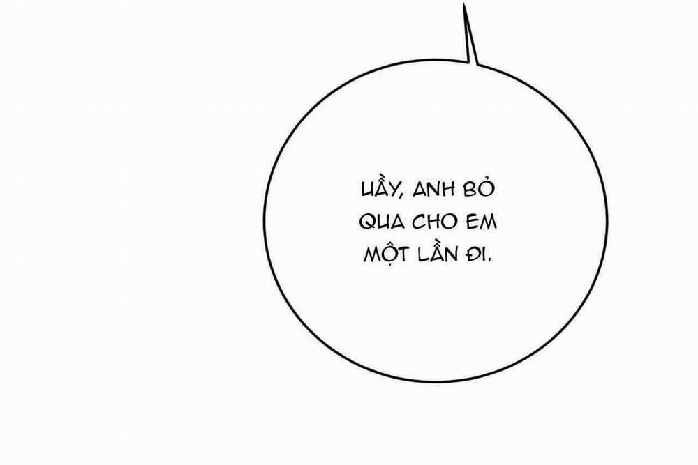 Giữa Tình Cờ Và Định Mệnh 77 trang 40