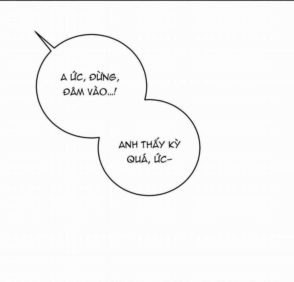 Giữa Tình Cờ Và Định Mệnh 77 trang 63