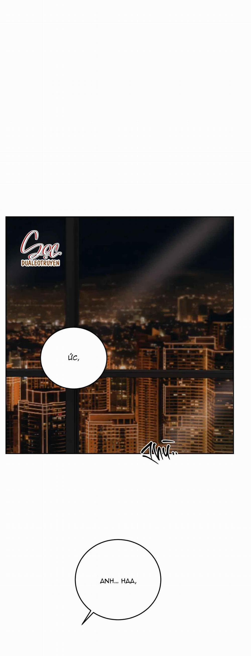 Giữa Tình Cờ Và Định Mệnh 78 trang 0