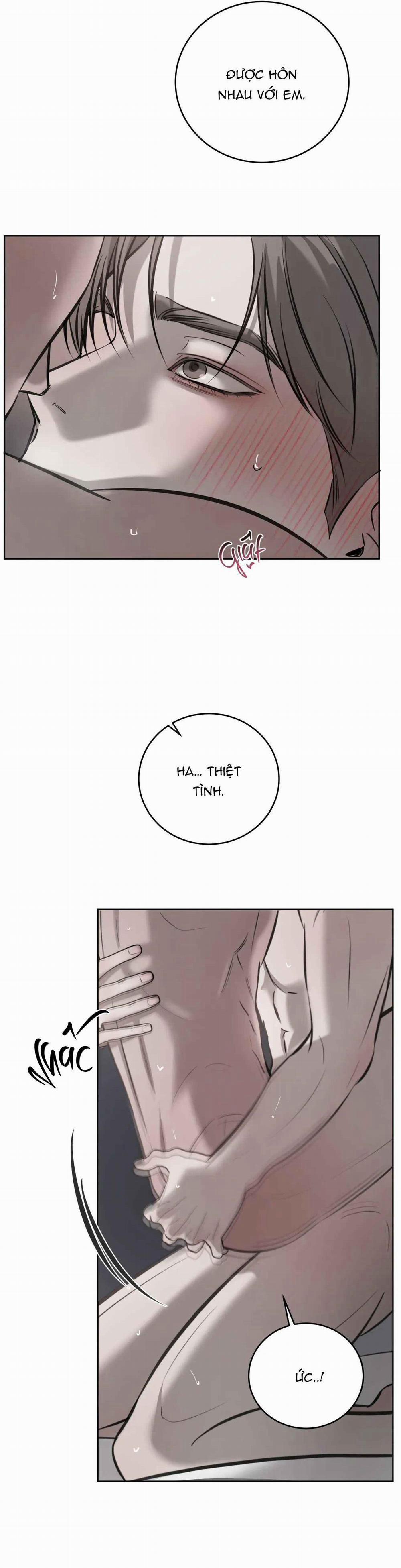 Giữa Tình Cờ Và Định Mệnh 78 trang 14