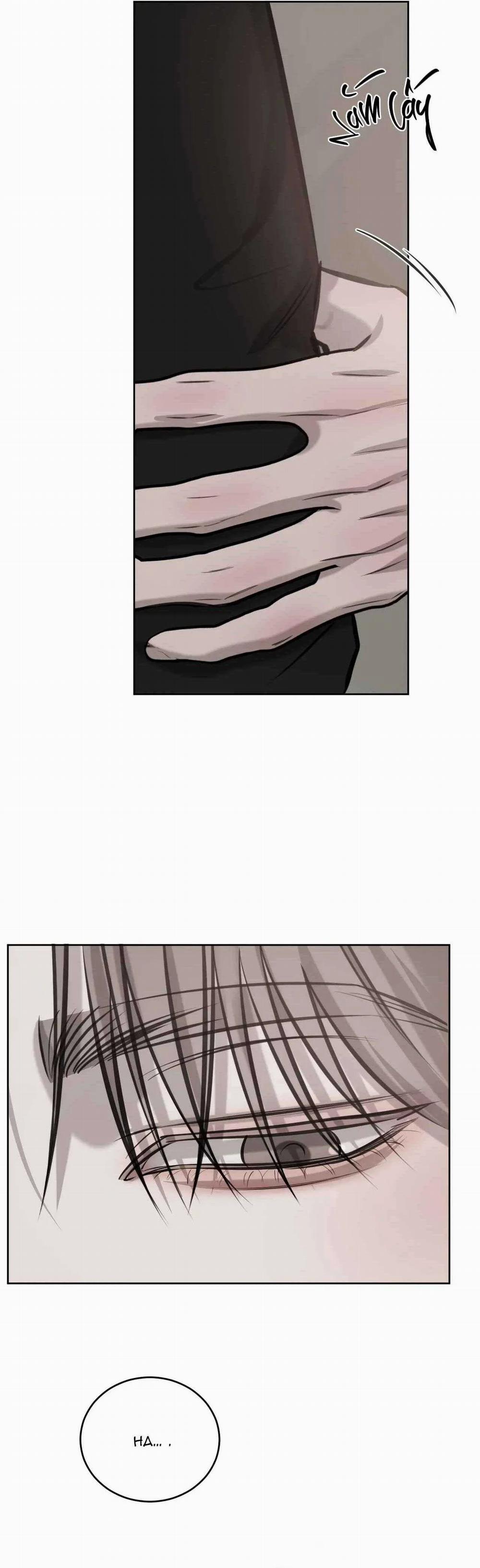 Giữa Tình Cờ Và Định Mệnh 79 trang 35