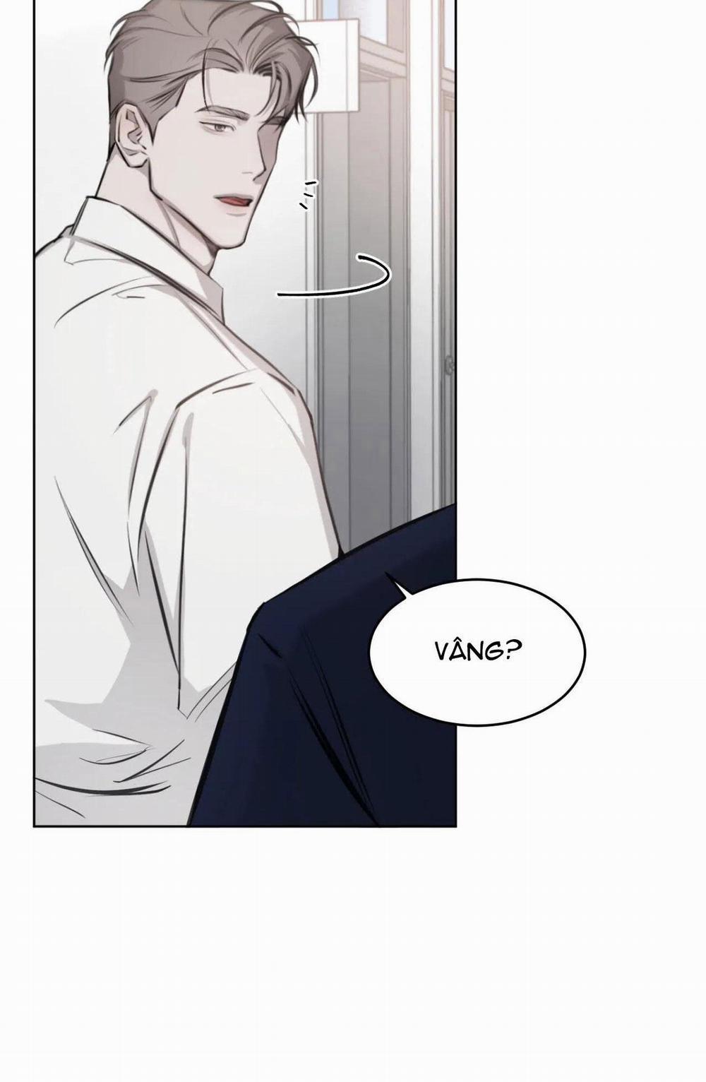 Giữa Tình Cờ Và Định Mệnh 8 trang 15