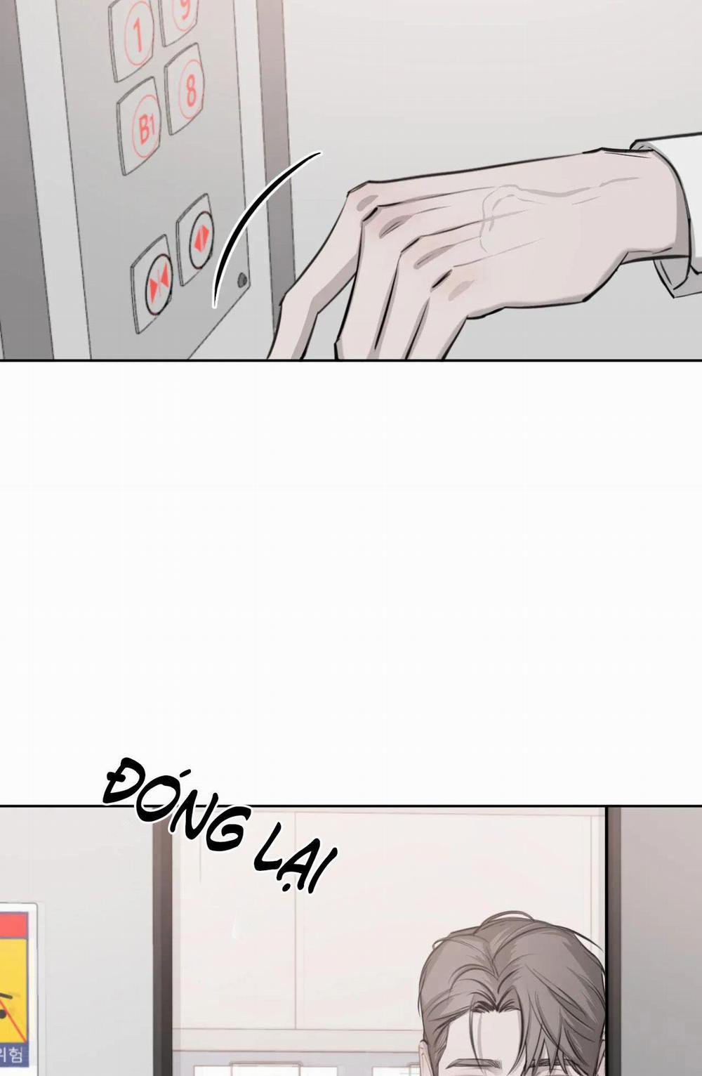 Giữa Tình Cờ Và Định Mệnh 8 trang 50