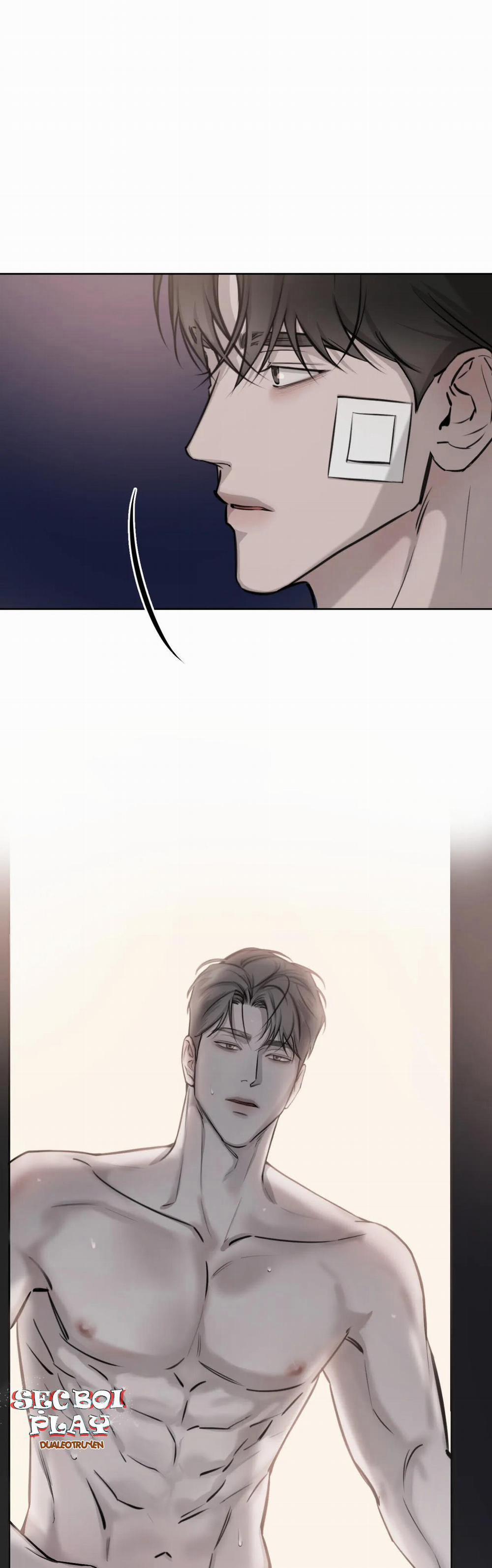 Giữa Tình Cờ Và Định Mệnh 9 trang 15