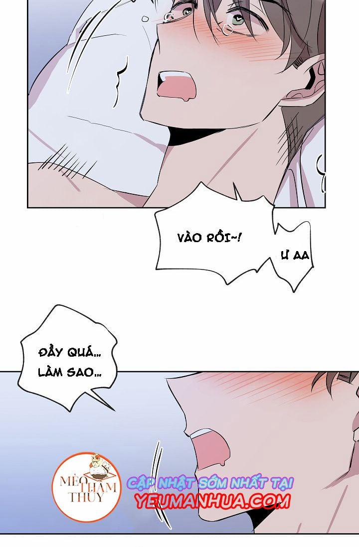 Giúp Em Với, Chú Ơi! 5 trang 47