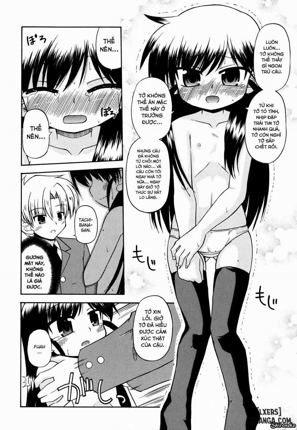 Gohoteki Mini Size 4 trang 5