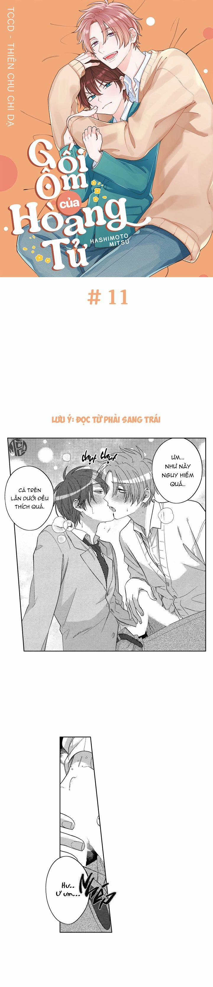 Gối Ôm Của Hoàng Tử 11 trang 2