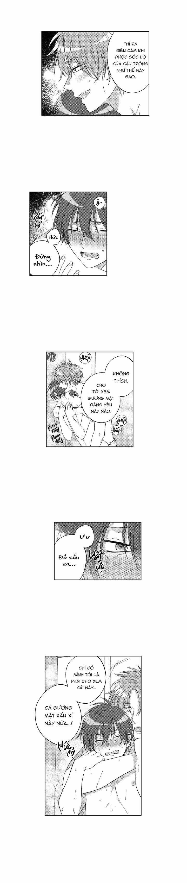 Gối Ôm Của Hoàng Tử 8 trang 11