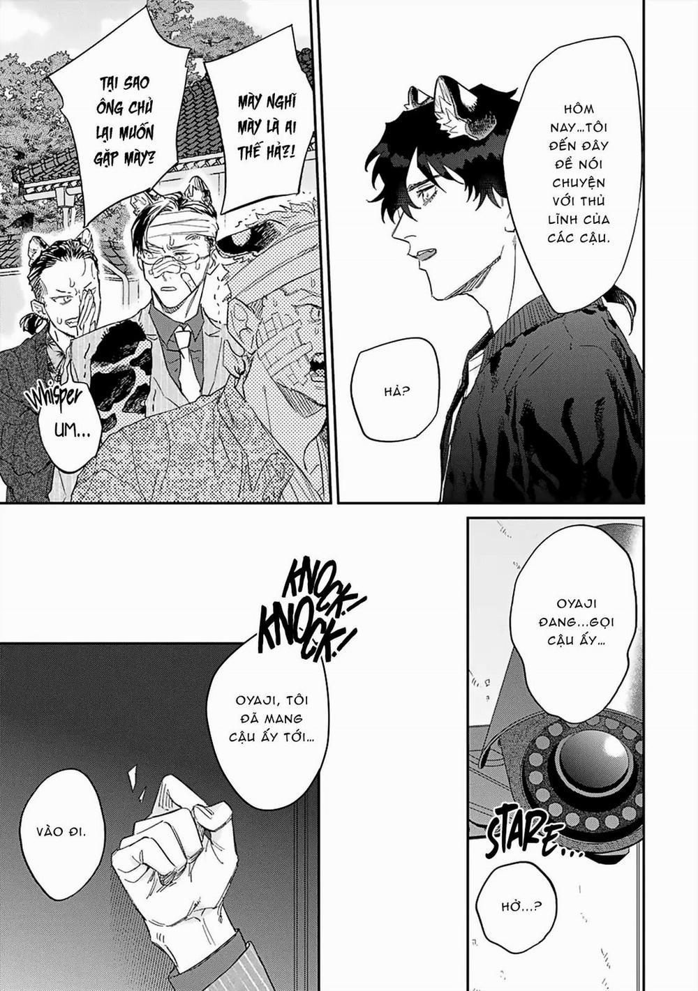 Gokutora No Honey Bunny 4 trang 14