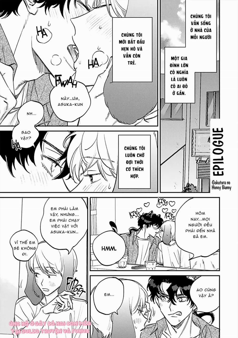 Gokutora No Honey Bunny 6 trang 0