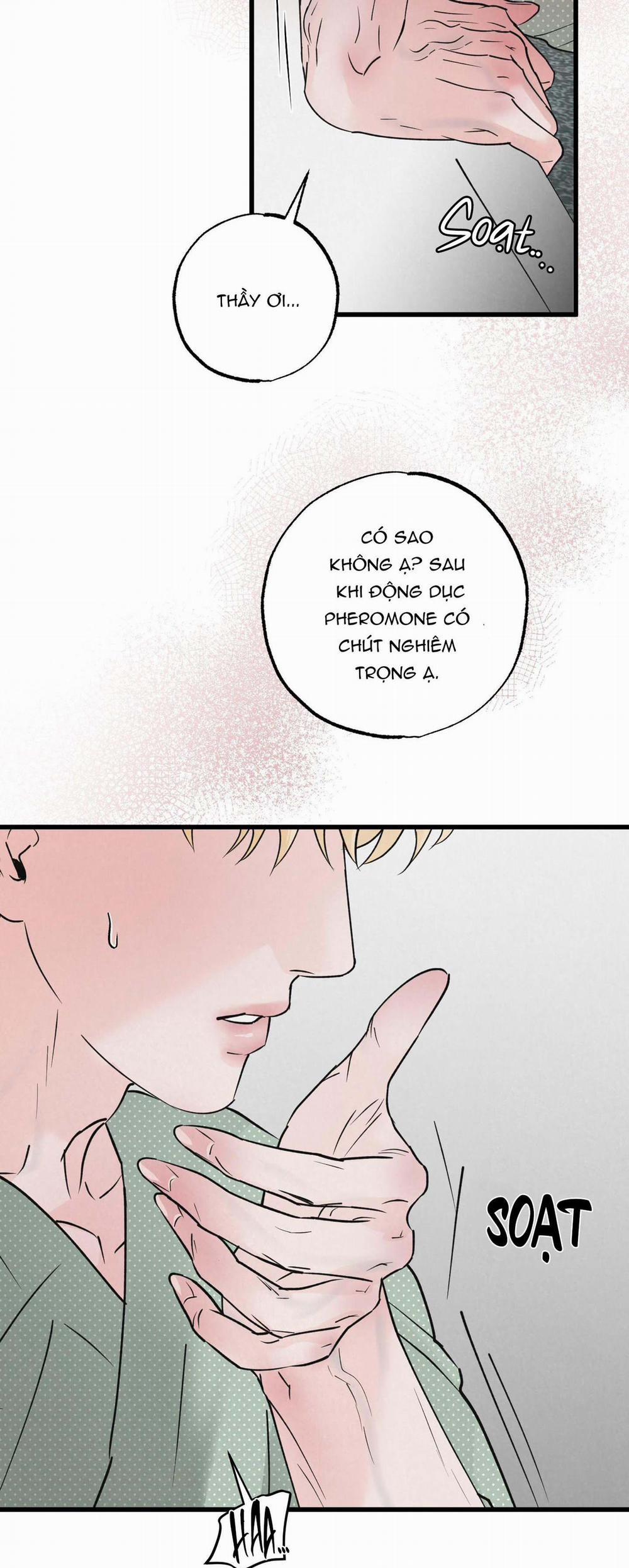 Golden Pair 17 trang 41