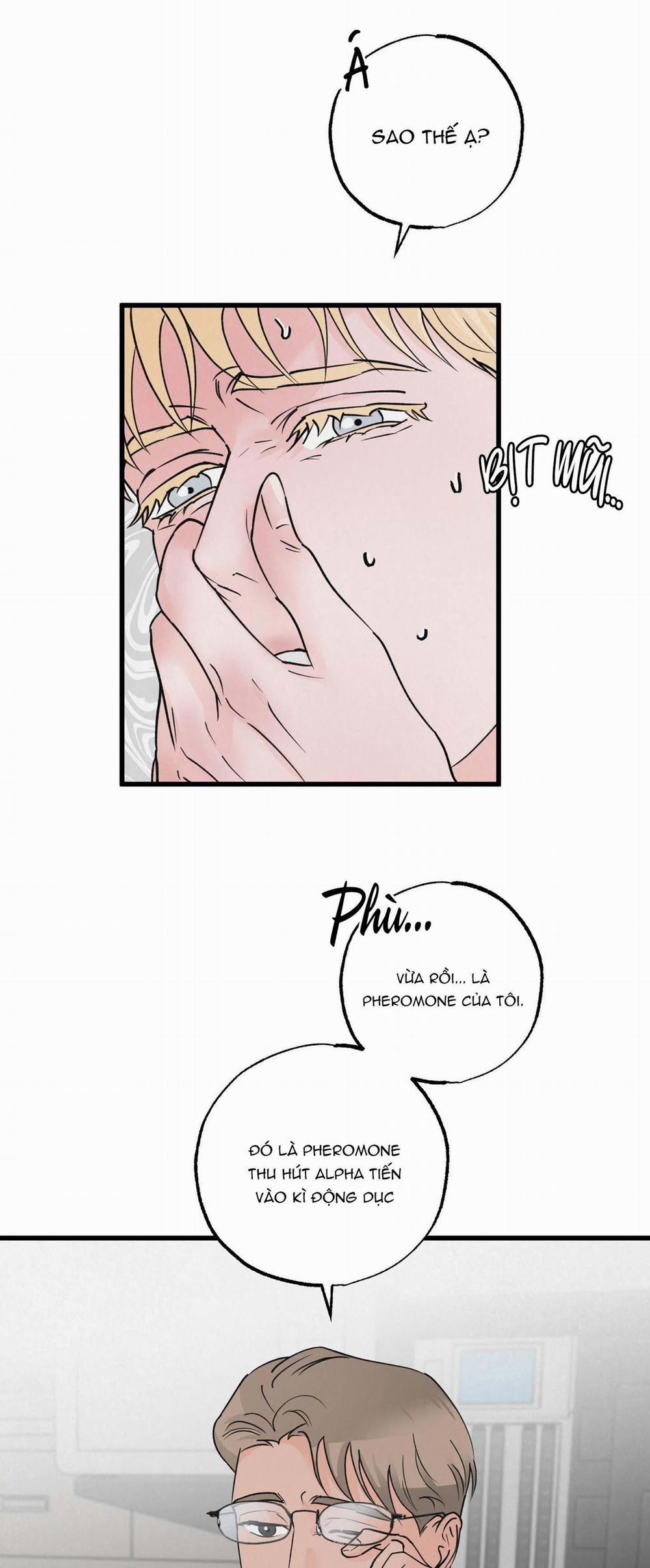 Golden Pair 17 trang 43