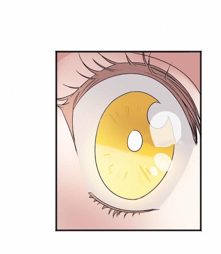 Gửi Đến Anh, Người Đã Không Hề Yêu 5 trang 2