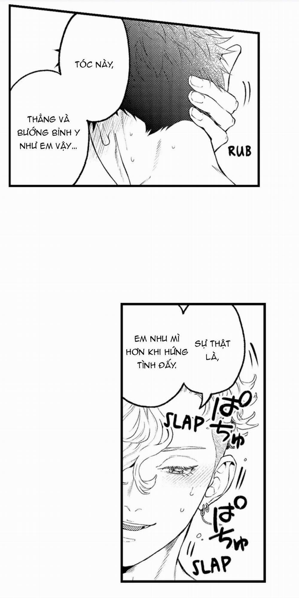 Gửi Em Gái Yêu Dấu, Anh Trai Em Trở Thành Thánh Nữ Mất Rồi 47.2 trang 15