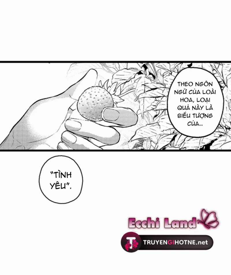 Gửi Em Gái Yêu Dấu, Anh Trai Em Trở Thành Thánh Nữ Mất Rồi 51.1 trang 6