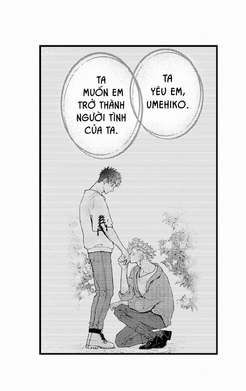 Gửi Em Gái Yêu Dấu, Anh Trai Em Trở Thành Thánh Nữ Mất Rồi 53.1 trang 8