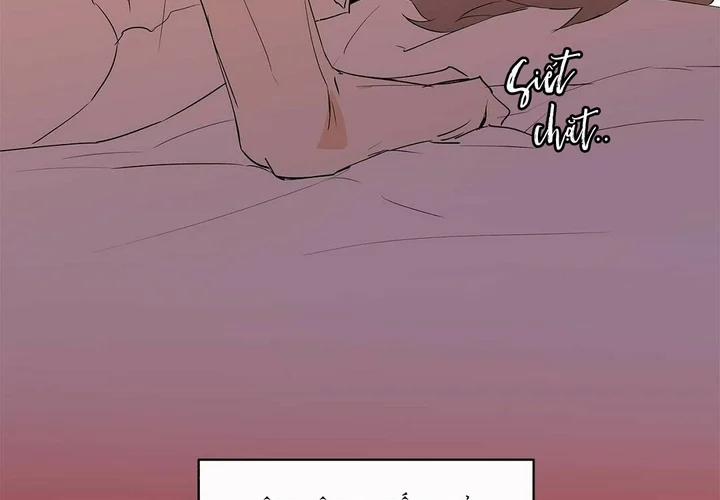 Guide Cấp B 49 trang 15