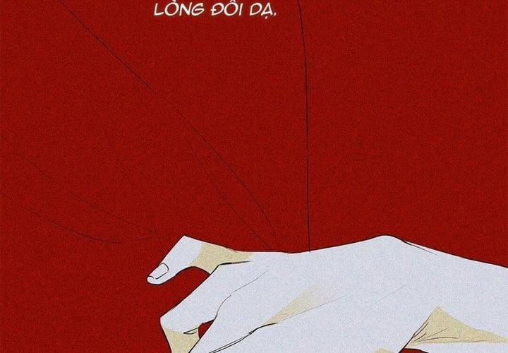 Guide Cấp B 49 trang 19