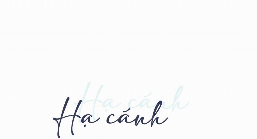 Hạ Cánh Cuối Chân Trời 23 trang 0