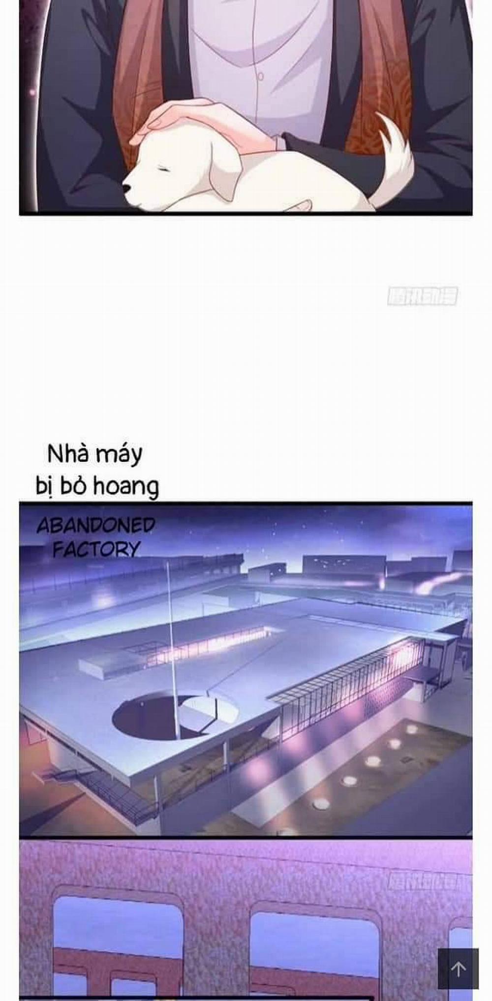 Hắc Đạo Đáng Yêu 102 trang 22