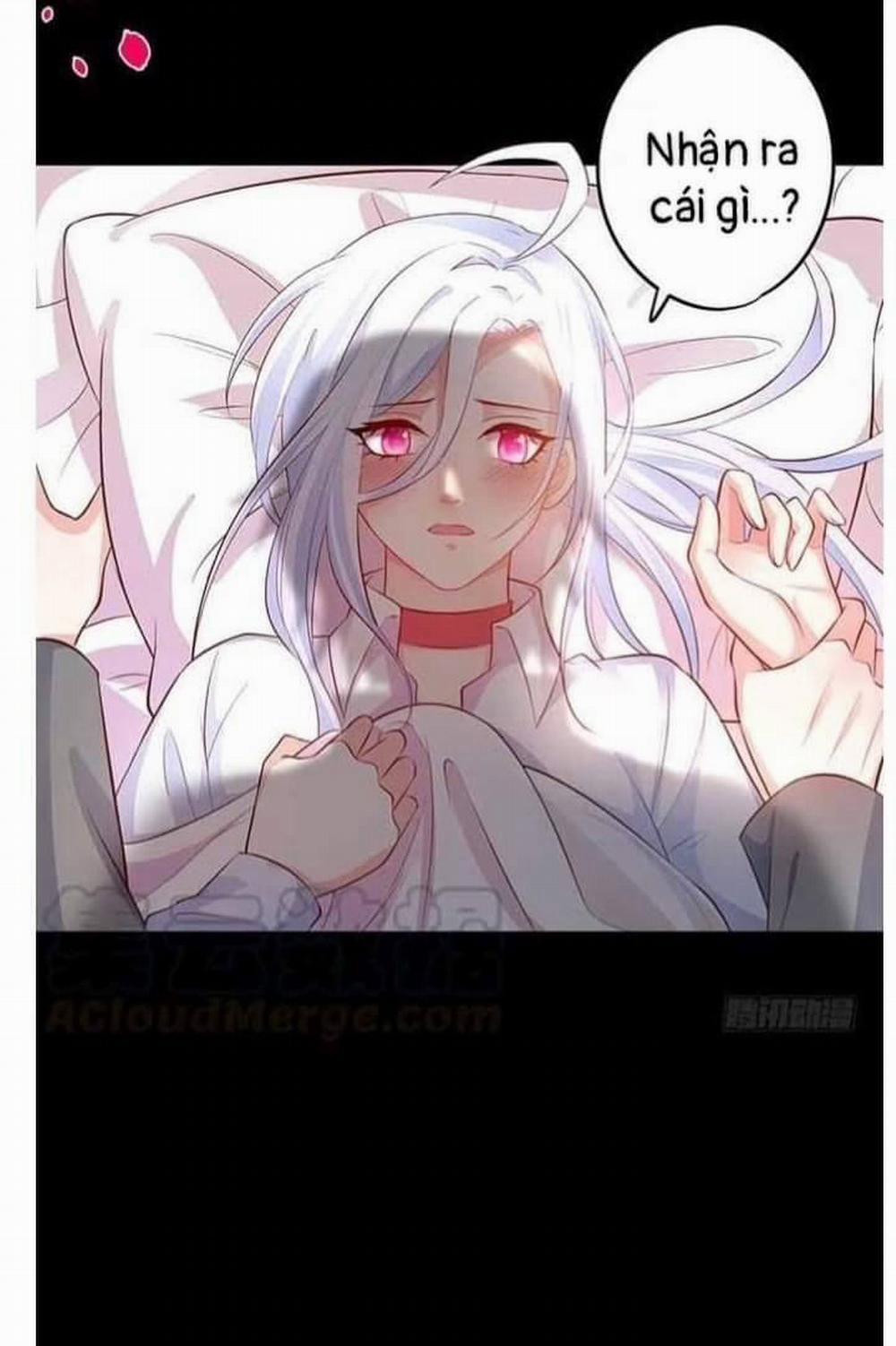 Hắc Đạo Đáng Yêu 112 trang 12