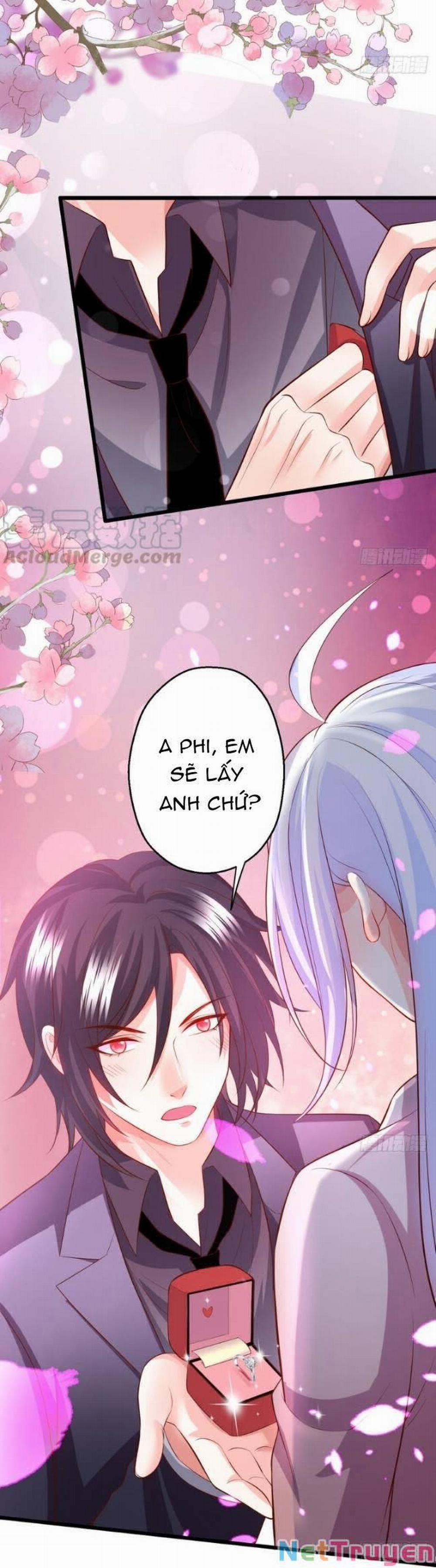 Hắc Đạo Đáng Yêu 135 trang 11