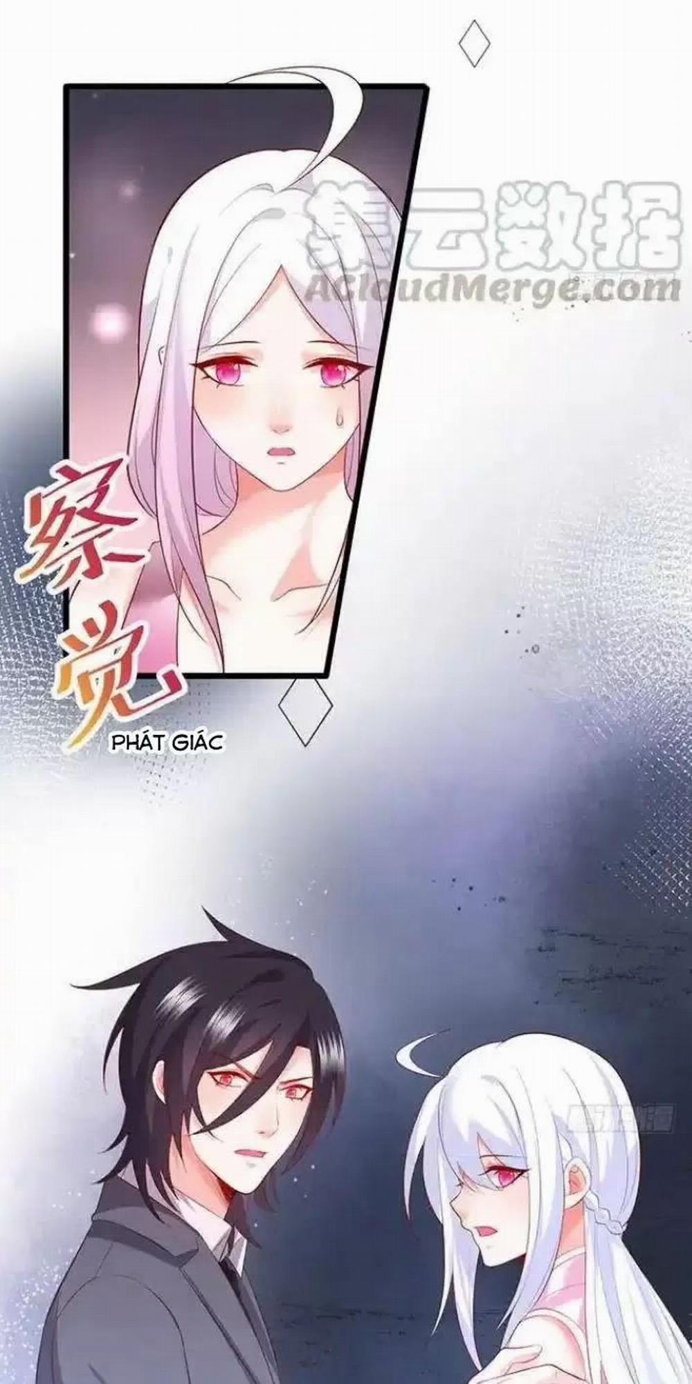 Hắc Đạo Đáng Yêu 161 trang 21